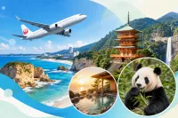 JAL 和歌山県行きのおトクな航空券はある？